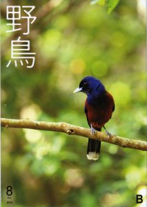 日本野鳥の会 会報「野鳥」