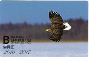 日本野鳥の会　会員証